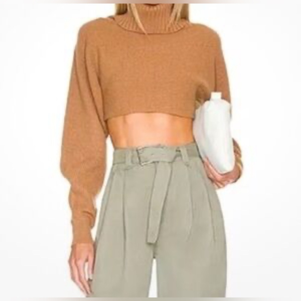 Sam Edelman Turtleneck Crop Knit Sweater